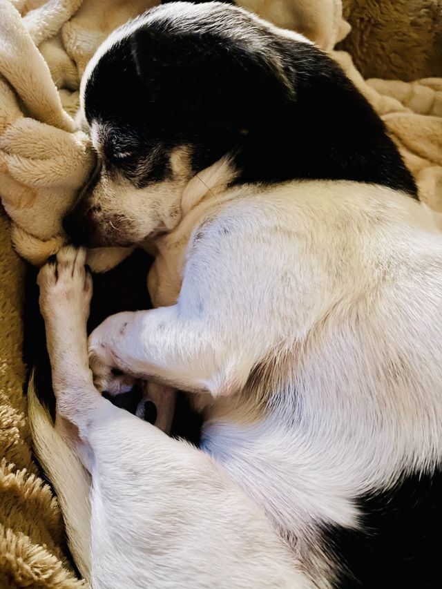 Cuddles 