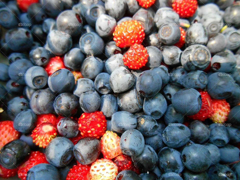 Blueberry, Fruit, Berry, Food, Juicy