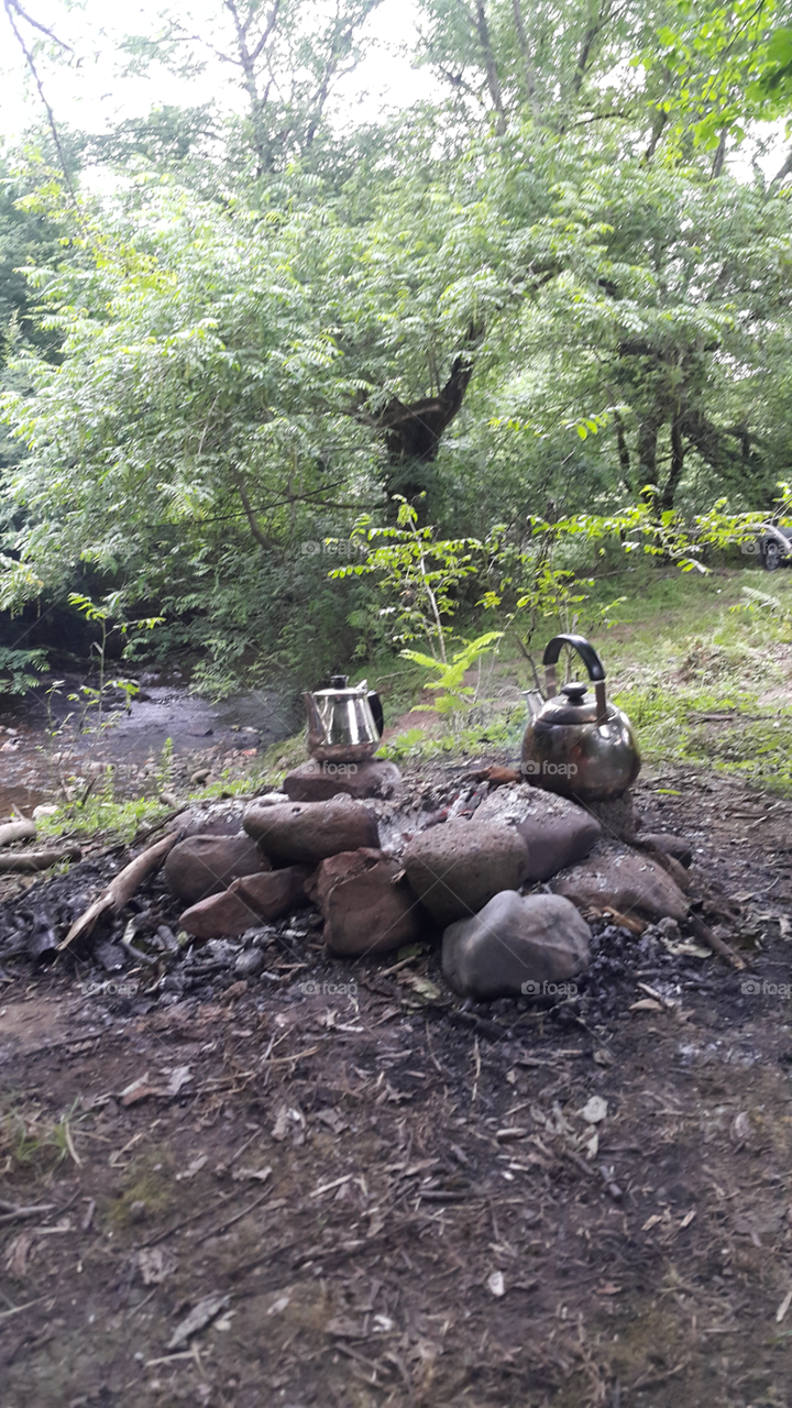 picnic in the woods on a summer day . a beautiful day in the forest