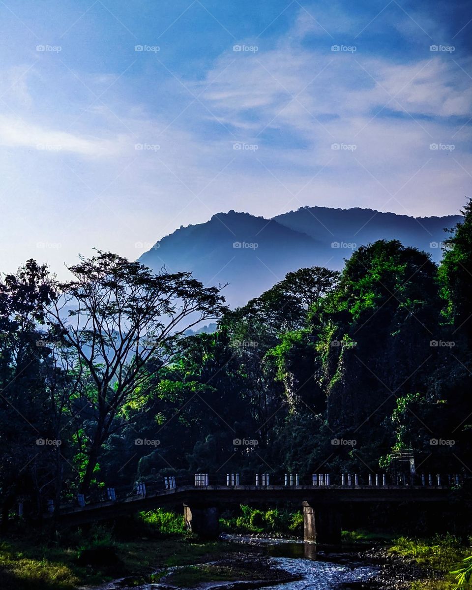 moundans  and tree 🌿