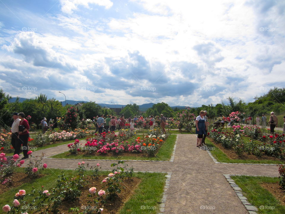 Flower, People, Landscape, Group, Many