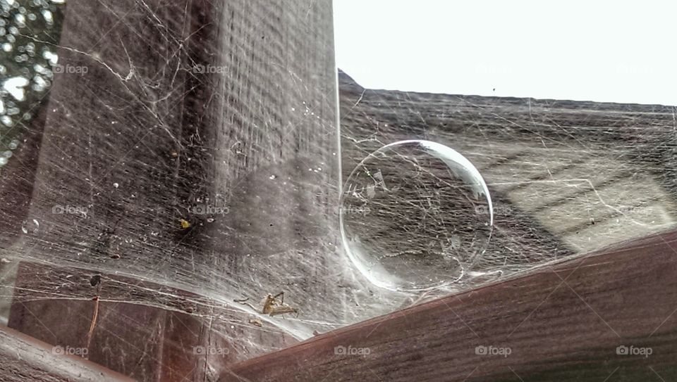 Bubble on Cobwebs