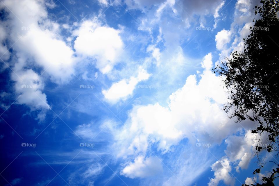 bule sky , cloudy sky