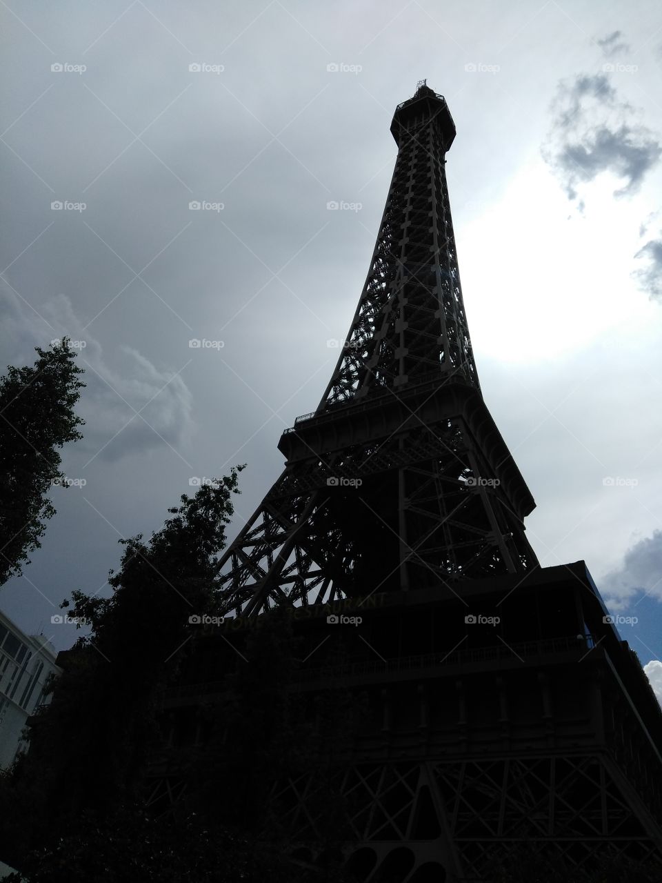 Eiffel Tower In Shadow 