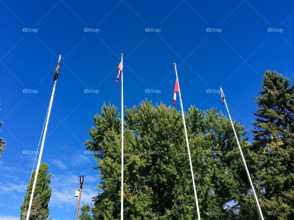 Flags