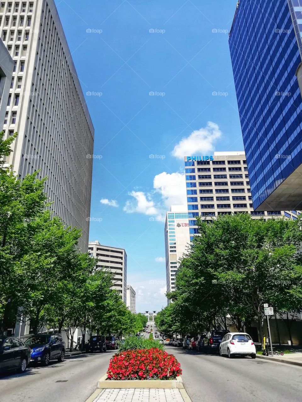 Urban nature: plants