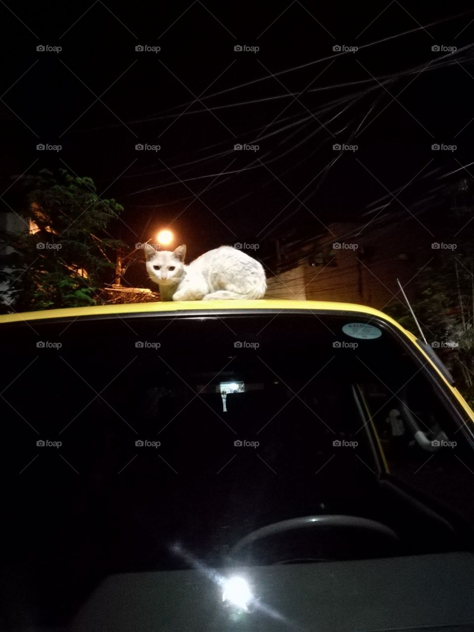 Hello there white lady! 😅😂