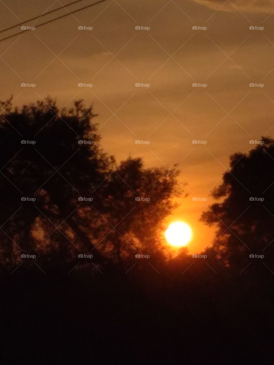 The beautifully setting sun