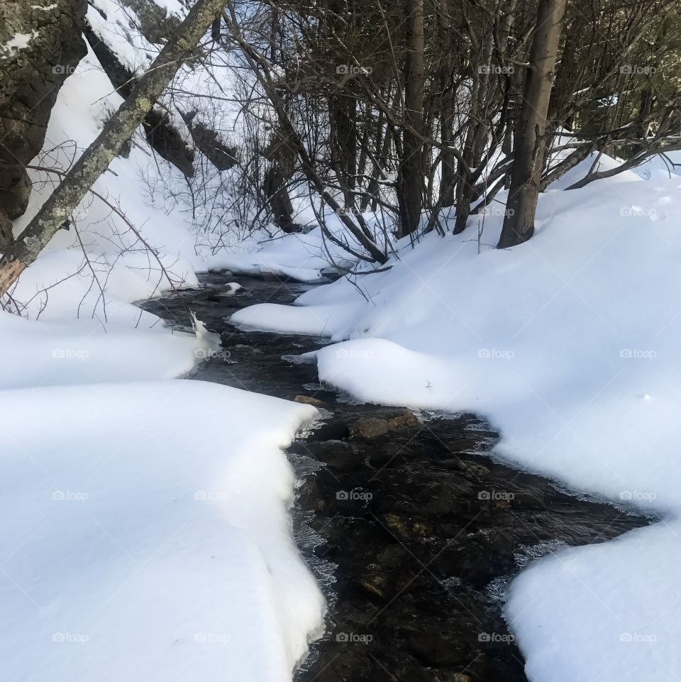 Nature Winter Landscape - Snow & Water