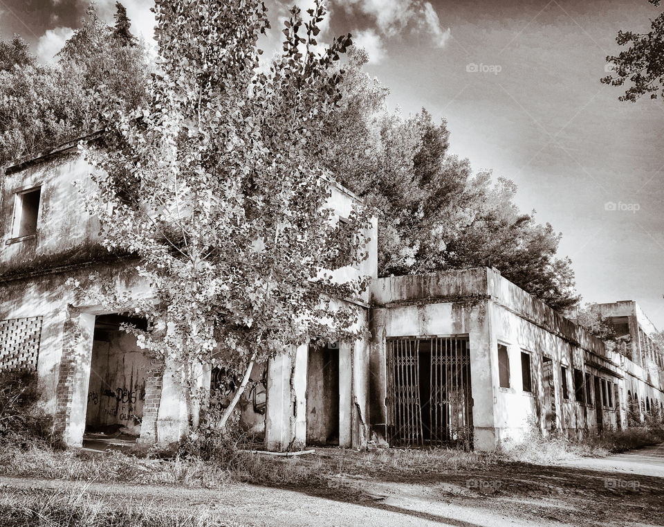 Black & white image of the exterior of an abandoned hotel, overgrown with plant life in Portugal 2019