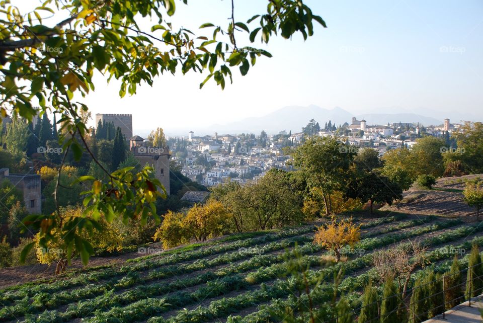 Alhambra garden. 