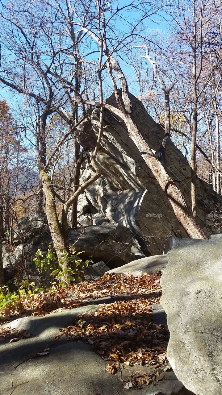 No Person, Nature, Tree, Outdoors, Wood