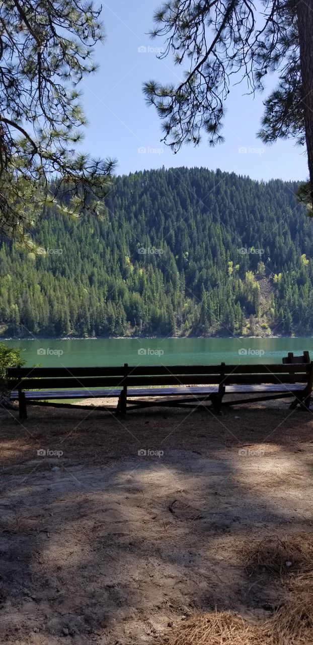 wooden bench shaded by trees on a beach with view of lake water and mountain ridge covered with green trees under a sunny blue sky