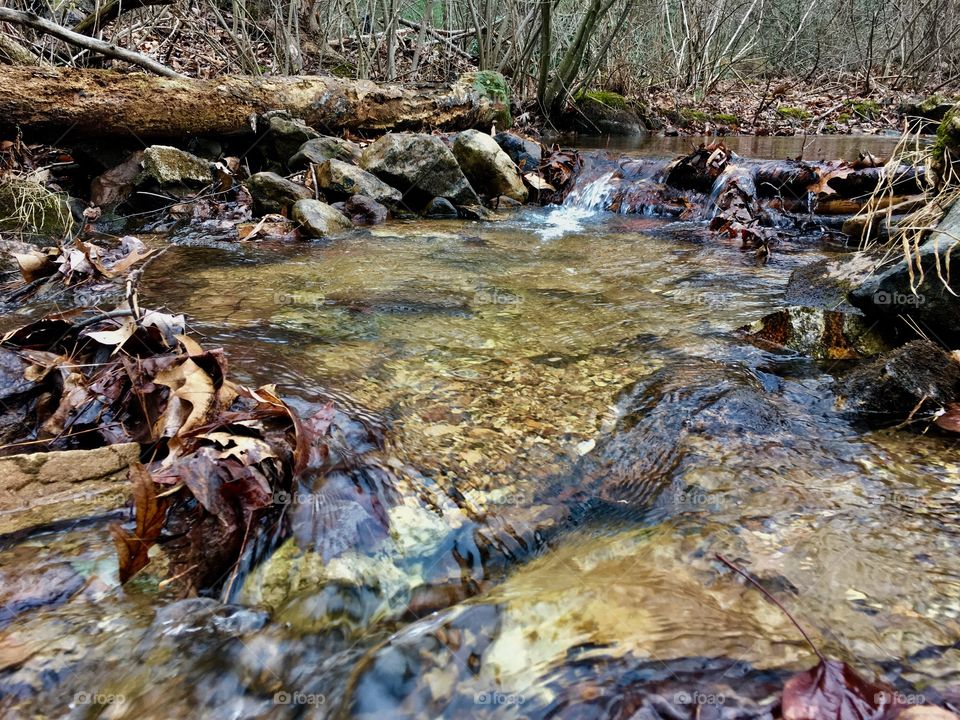 Water, stream, nature