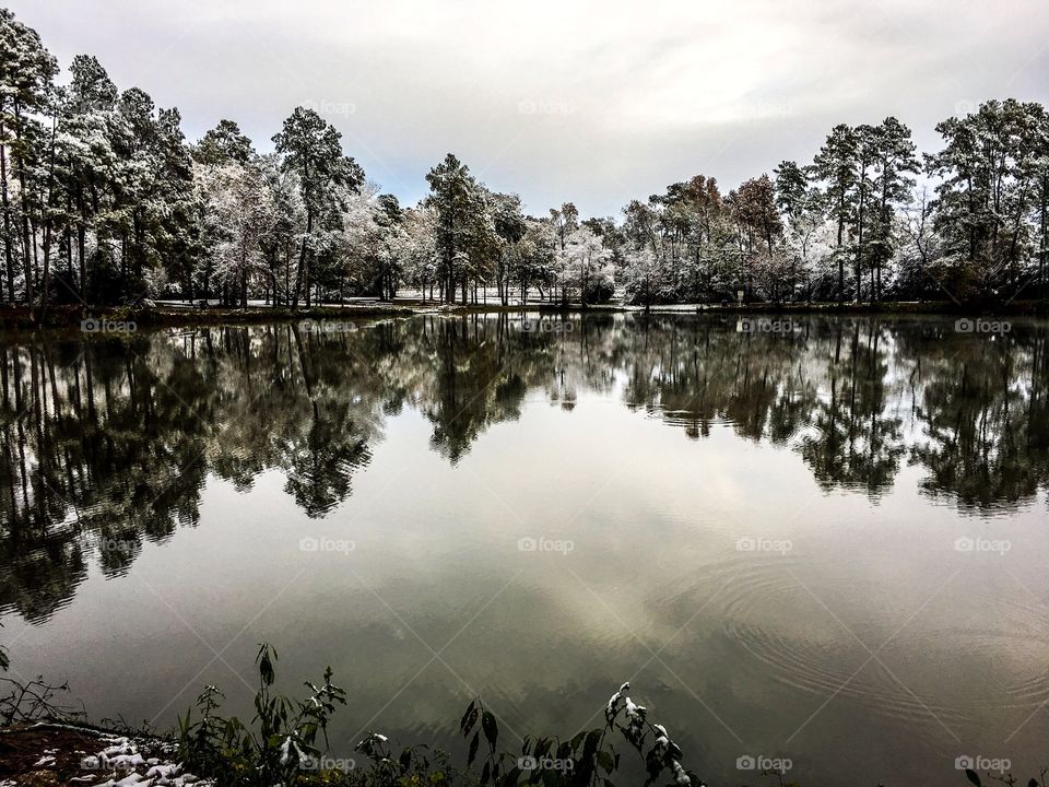 Snowy reflection 