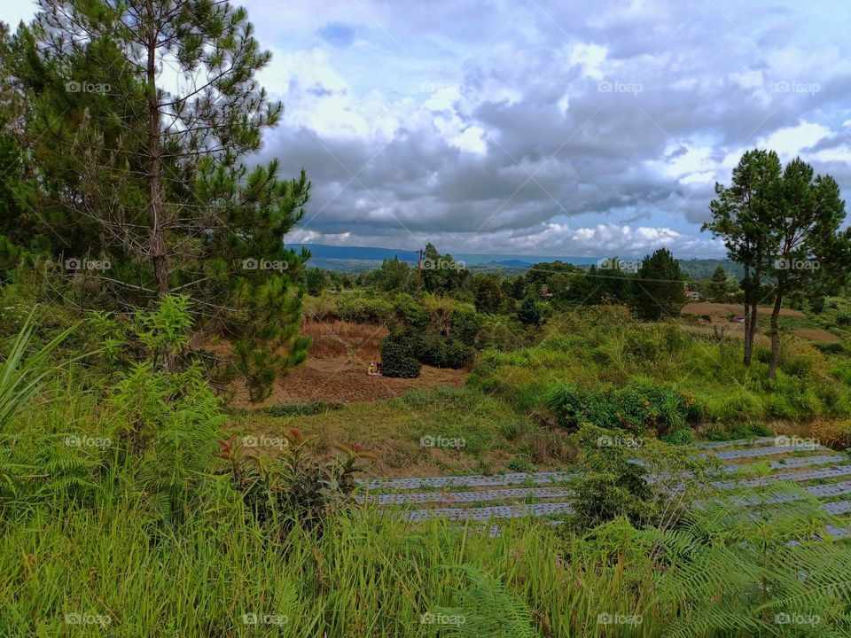 Panorama of meadows, forests and villages in Humbang Hasundutan district, North Sumatra province, Indonesia