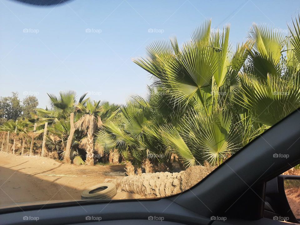 Please make me happy, I am poor, I need your help with support