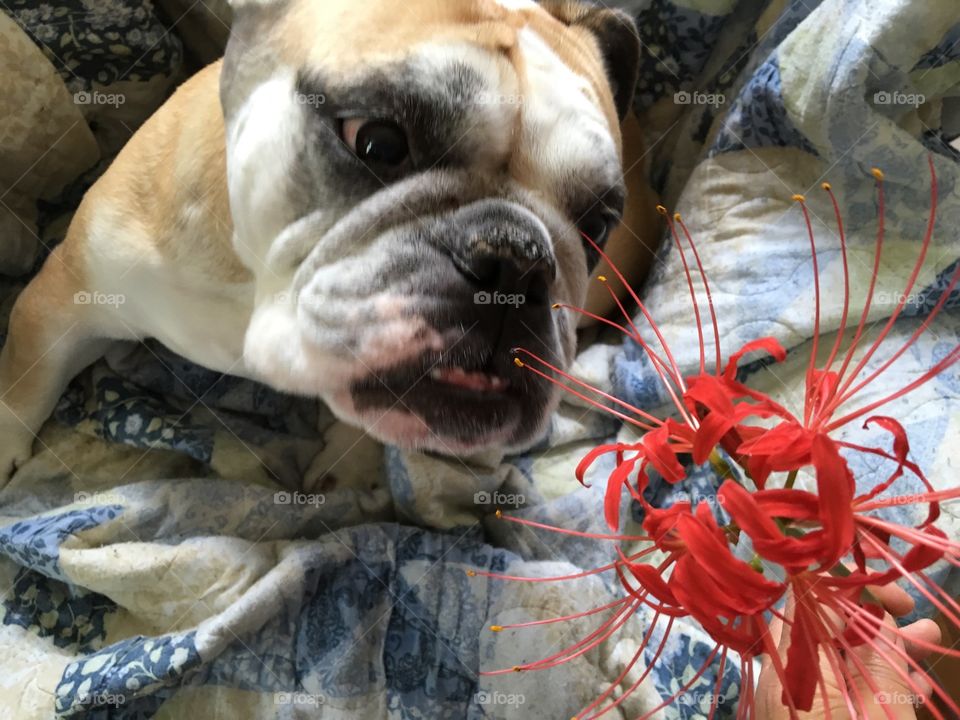 Stop and smell the flowers 