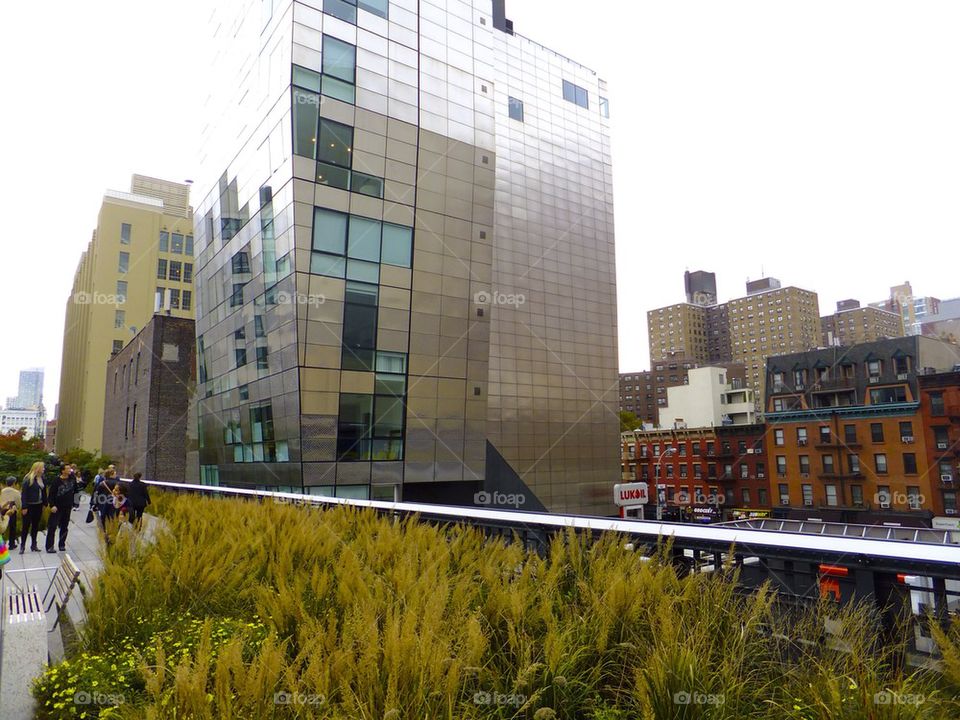 NEW YORK CITY HIGH LINE PARK THE LIVING SPACE