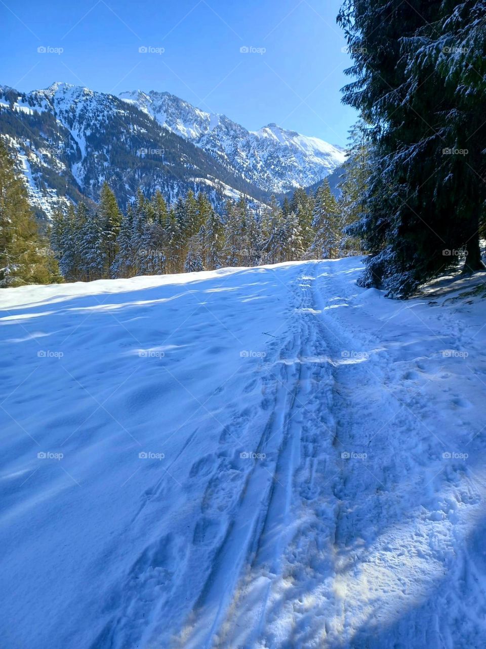 Mountains Sun and Snow