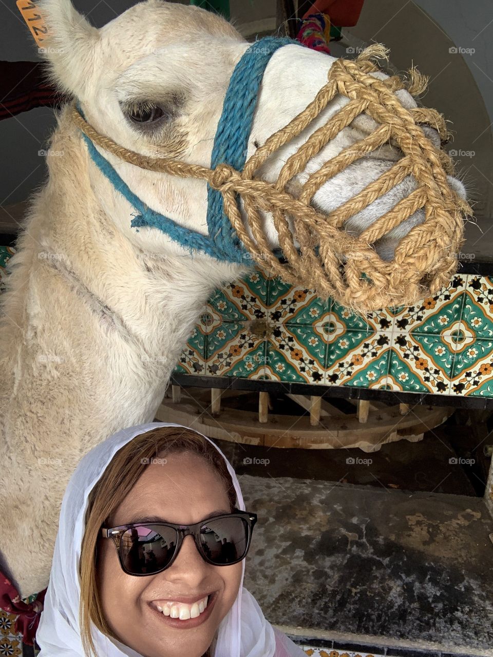 Camel selfie 