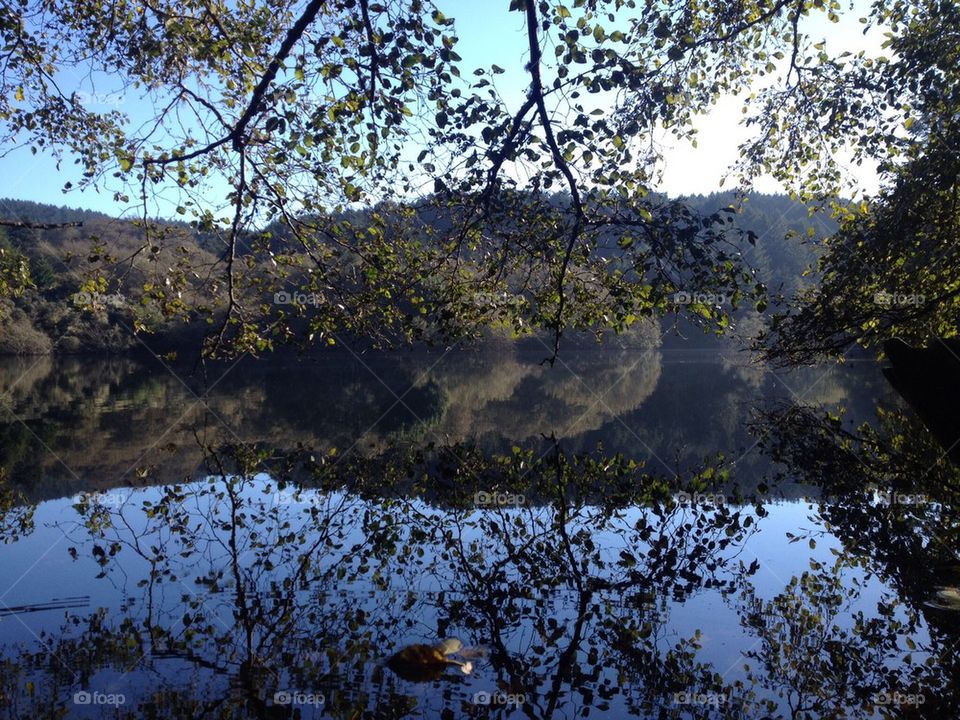 Reflection on Bass Lake