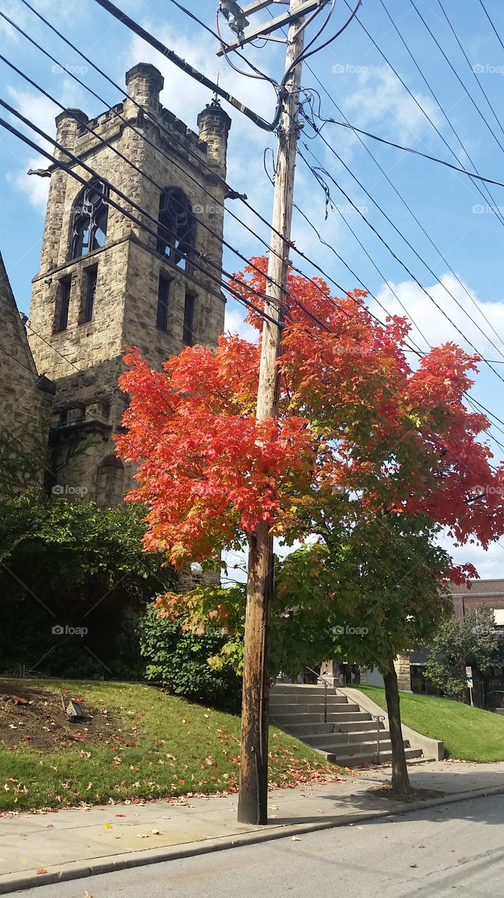 A tree in front of a church on my route to work