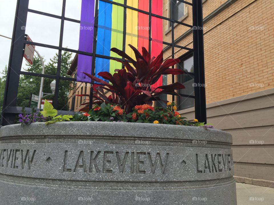Lakeview. A planter in Boystown