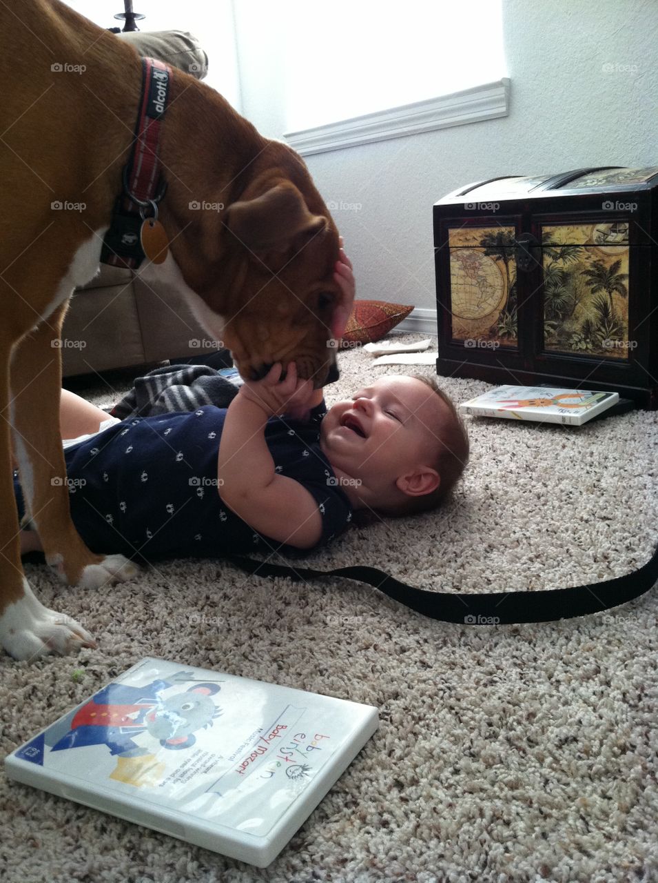 Puppy Love. Baby boy playing on the floor with his pet dog