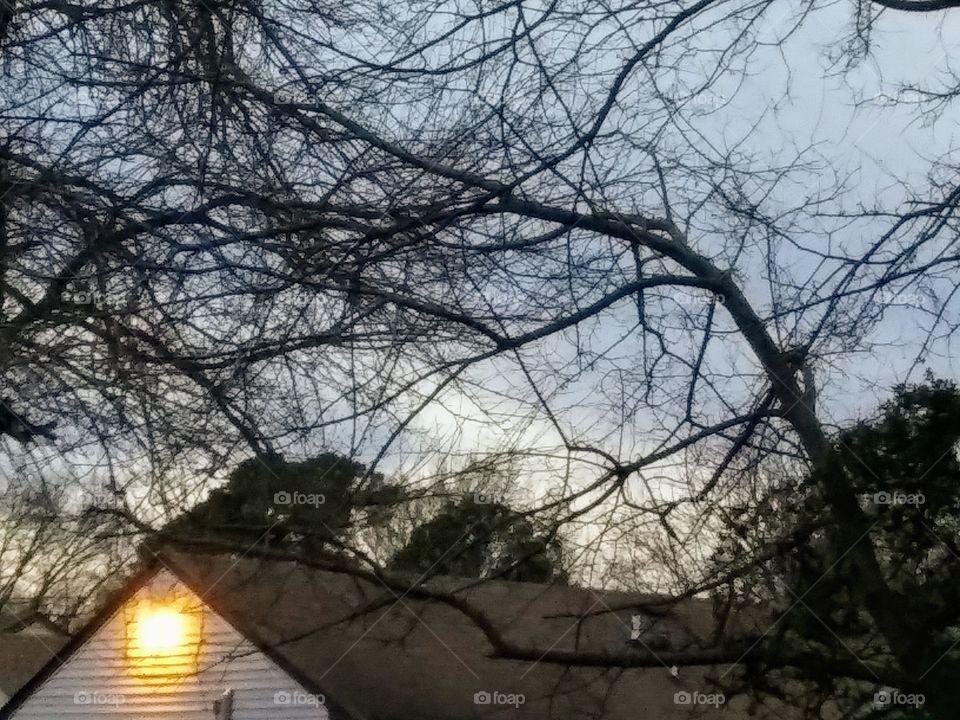 evening lights in the neighborhood