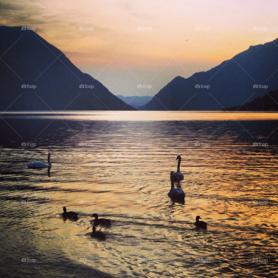 italy sunset lake ducks by Nietje70