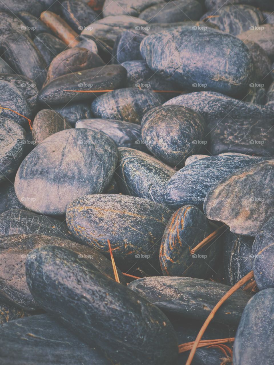 Rocks At The River, California Rocks, Decorative Rocks, Rocks In Los Angeles 