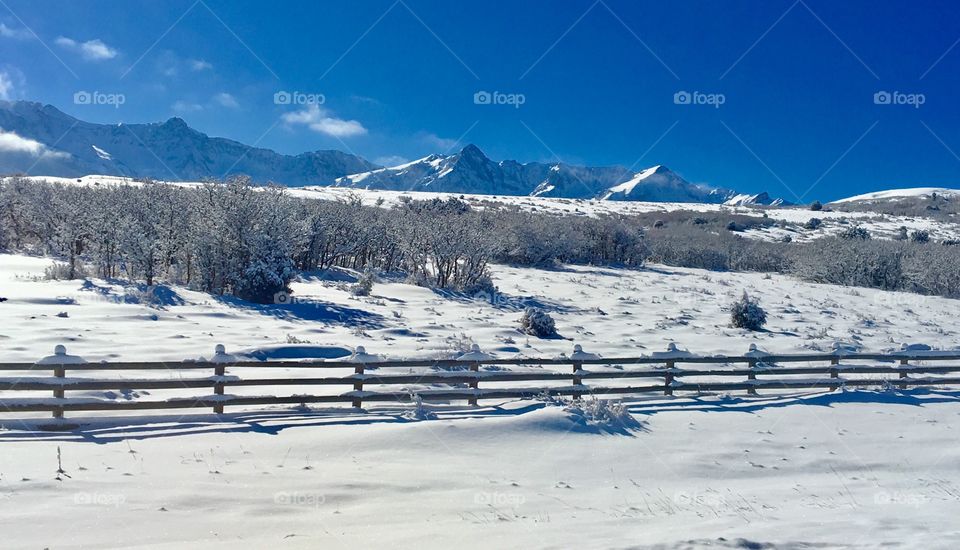 Frozen trees and fence at mountain