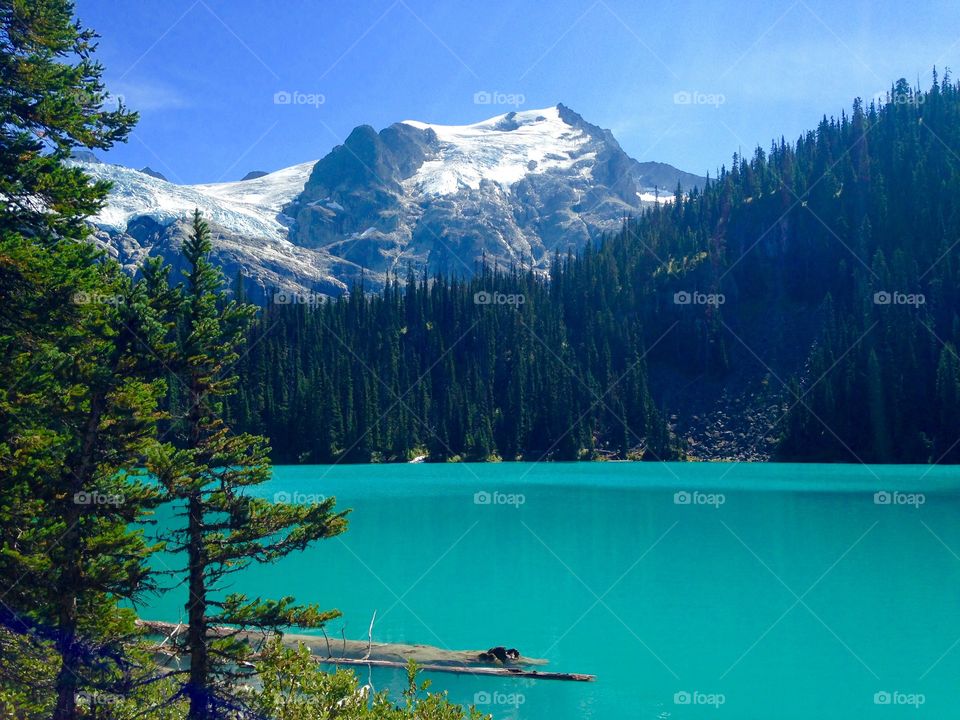 Glacial Alpine views at Joffre Lakes Provincial Park