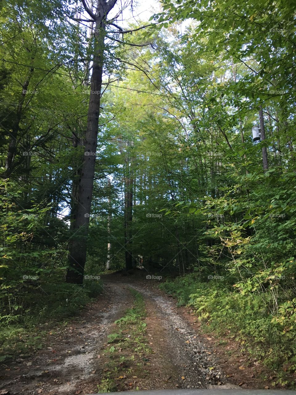 Vermont Lane