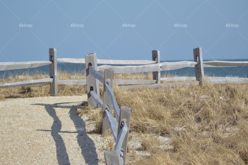 Coastal Landscape 