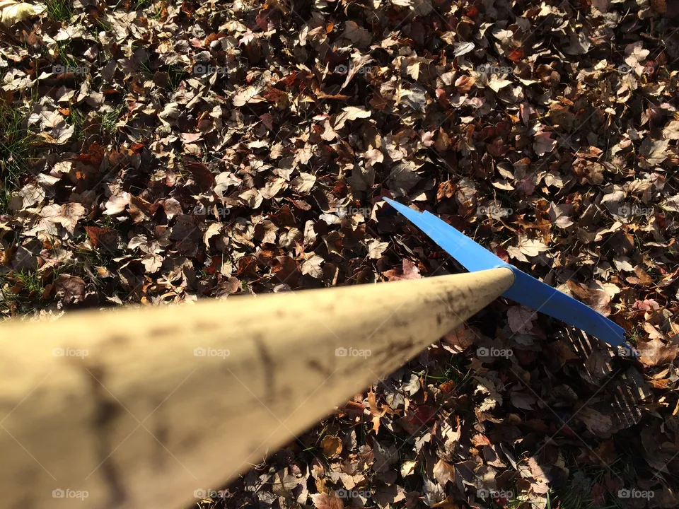 Fall work