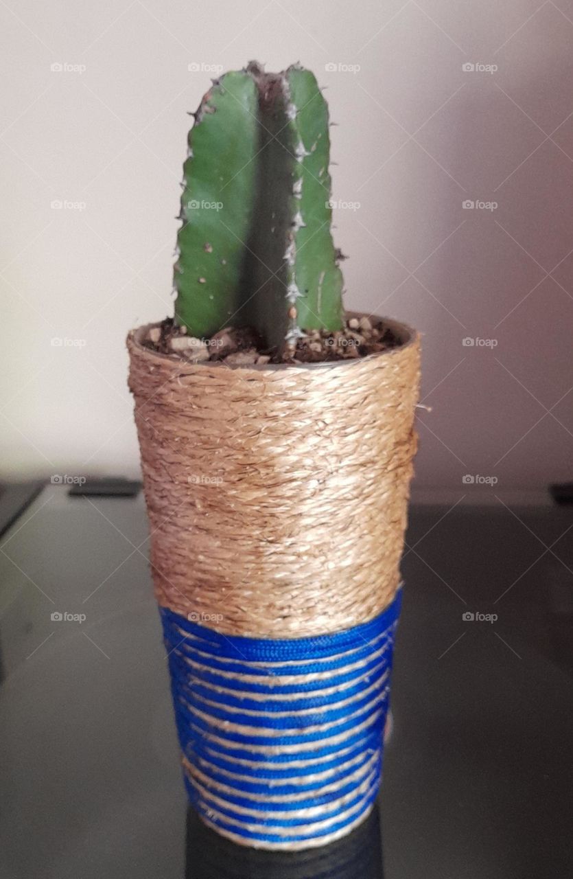 mes pots customisés