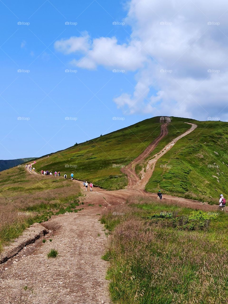 Your favourite travel destination
My beloved Carpathians. Green flower meadows. Cows with bells around their necks. Unforgettable trip across Ukraine. Mountains Dragobrat. Magnificent nature.