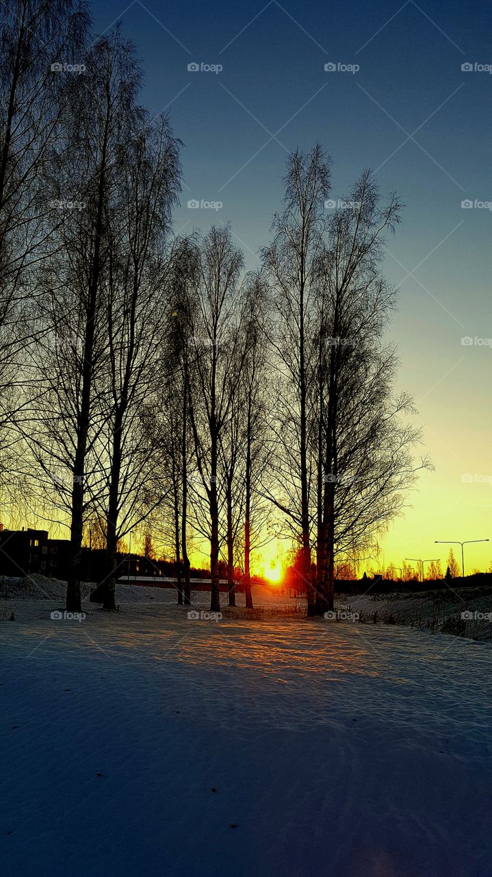 early in the morning