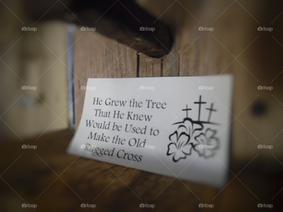 he grew the tree 🎄 2. This is a picture of a card 💳 that sits on this bird 🐦 house 🏡