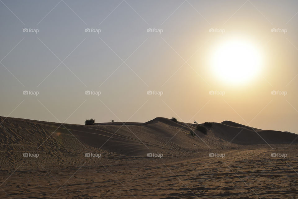 sand dunes deserts