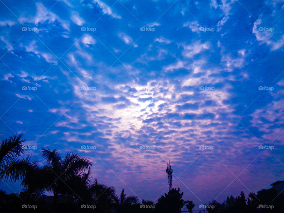 "The poetry of earth is never dead"