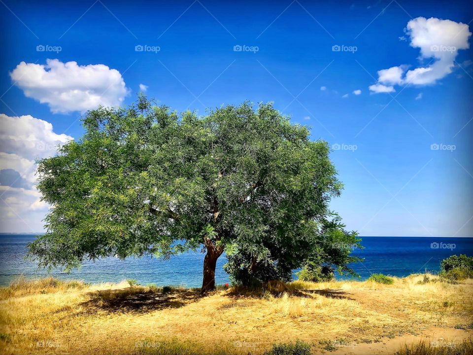 And the life will win any case at the end ☘️