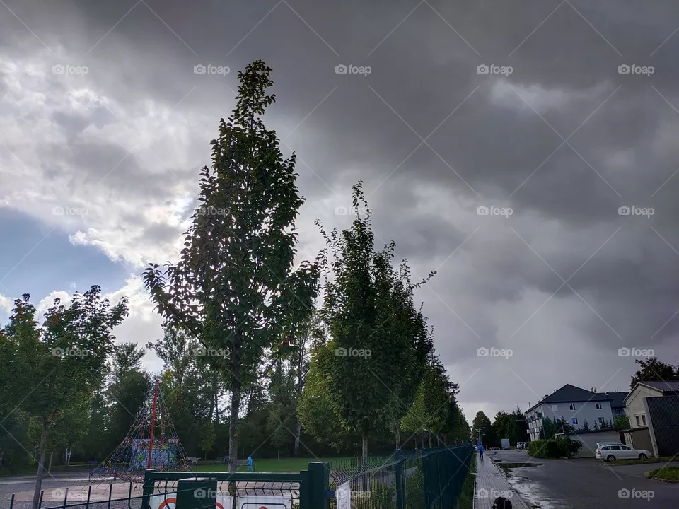 Gray clouds