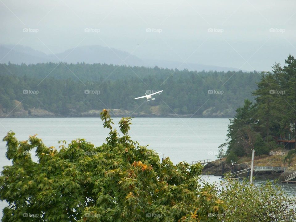 Sea Plane. Friday Harbor