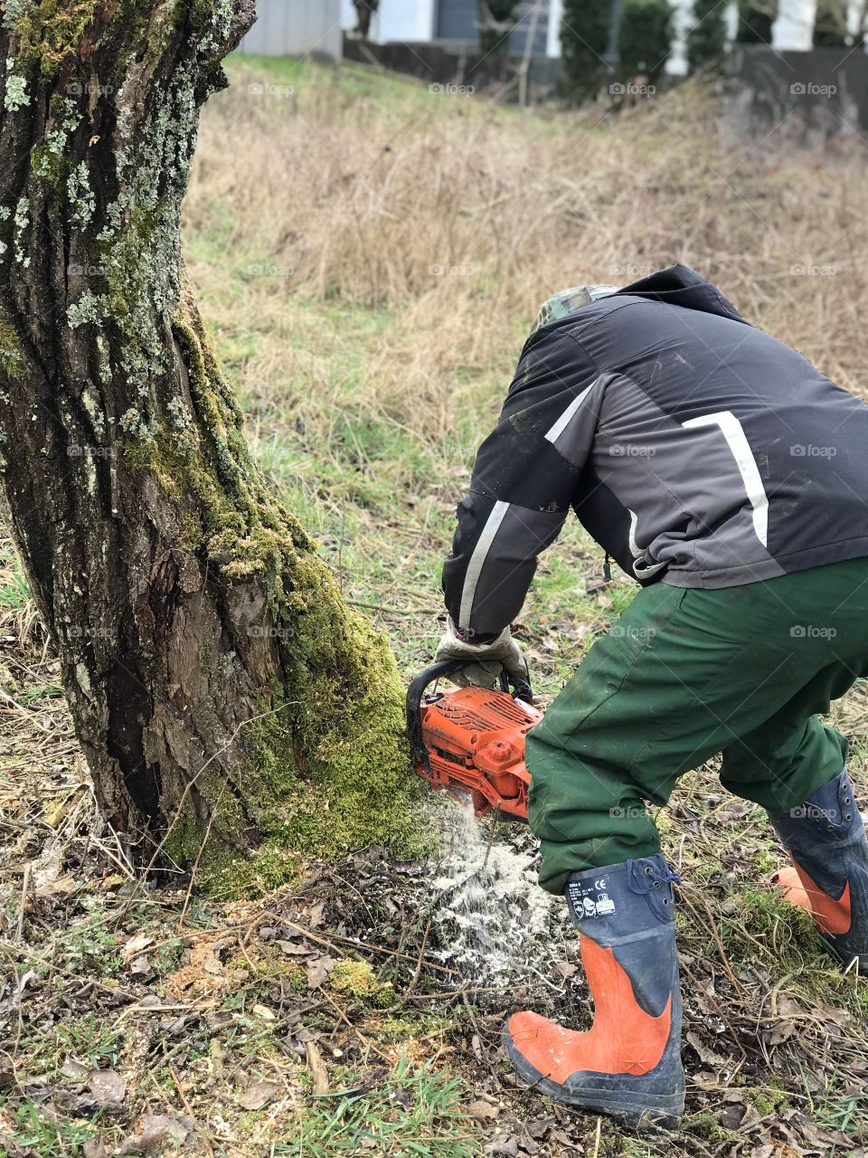 Lumberjack with a chainsaw