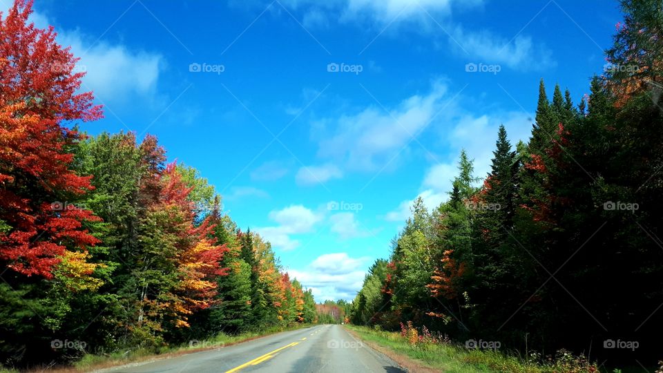 scenic drive through the countryside with the changing of the color of the leaves