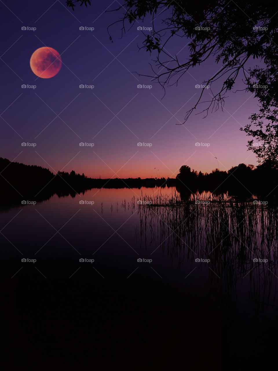 Red moon, Lake in Poland. Lunar escape