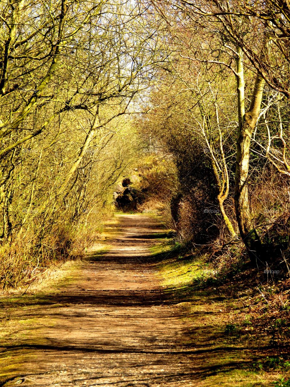 hiking trails